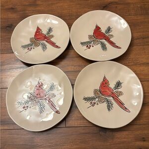 Eli + Ana set 4 cardinal salad plates